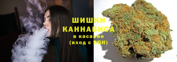 гашик Аркадак