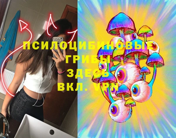 гашик Аркадак