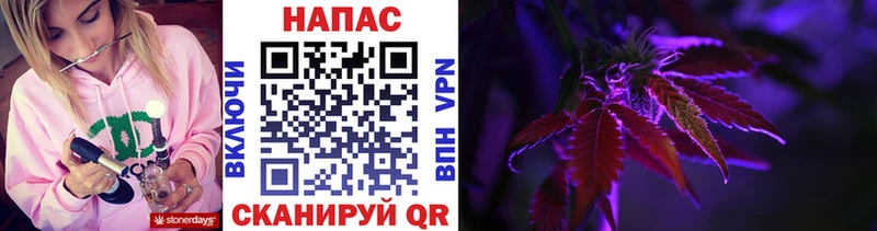 купить   Семёнов  Конопля семена 